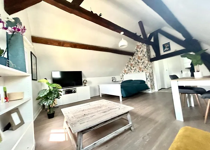 L Ecuyer Appartement Au Coeur Du Quartier Historique